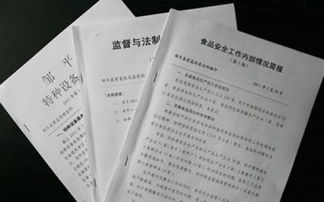 傳媒公司總結(jié)報告以及自查報告范文()