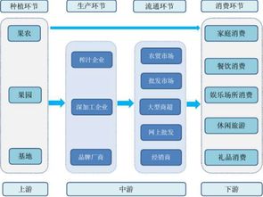 蘋果醋市場調研報告(市場的調研報告)