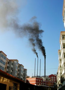 農(nóng)村環(huán)境污染的調(diào)查報(bào)告范文(農(nóng)村環(huán)境污染的調(diào)查報(bào)告)