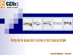 眼鏡行業(yè)商業(yè)計劃書(眼鏡行業(yè)標(biāo)語)