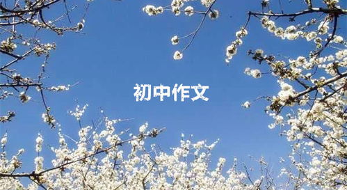 800用欲揚(yáng)先抑寫人作文開頭