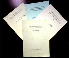 鄉(xiāng)鎮(zhèn)文化資金申請(qǐng)報(bào)告(鄉(xiāng)鎮(zhèn)文化資金申請(qǐng)報(bào)告)