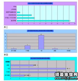 大學生手機使用情況調(diào)查報告(情況大學生手機使用調(diào)查報告)