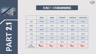 月度工作報告(月度工作報告)