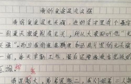 我的馬虎爸爸作文450字作文開頭