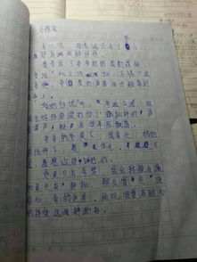 描寫父母愛的作文開頭