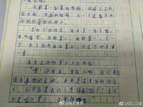 時至今日你依然是我的光作文開頭