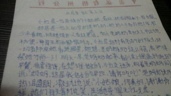 寫關(guān)于愛的作文范文(寫關(guān)于愛的作文)