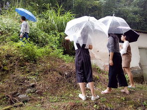 幼兒園安全隱患自查報(bào)告(幼兒園安全隱患排查自查報(bào)告)