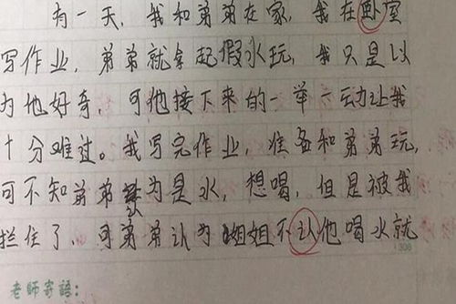 第一次流淚的作文開頭結(jié)尾