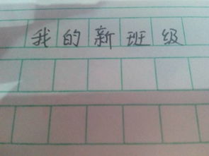 我和新班級的作文開頭