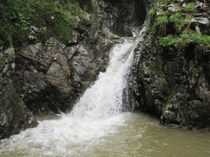 大自然的奇觀作文開(kāi)頭