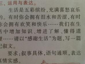 寫感恩作文怎么開頭