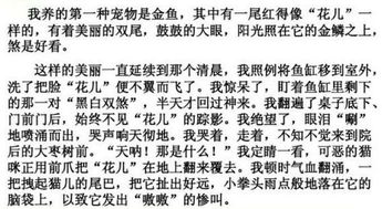 以在乎題的作文開頭