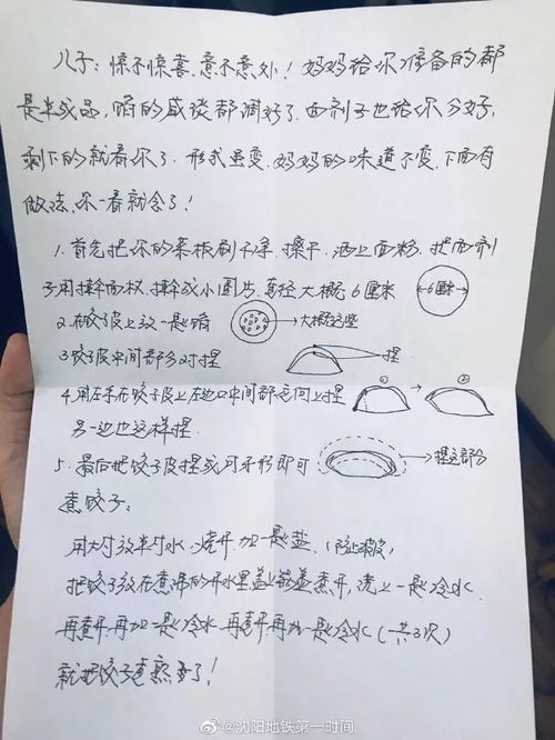 家庭包餃子大賽作文開頭結尾