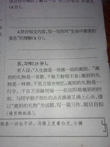 禮物小學(xué)作文600字作文開(kāi)頭