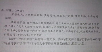 最美的夢想初中600字作文開頭結(jié)尾