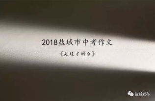 走過才明白為題作文開頭