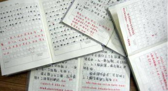 我感受到了文學(xué)的魅力滿分作文開頭