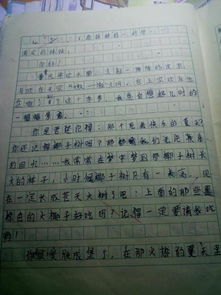 作文童最難忘的一件事450字作文開(kāi)頭