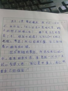 沒有把握好機會的作文開頭