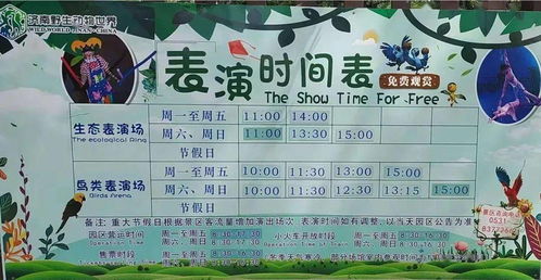 關(guān)于奇妙的旅行的作文開頭