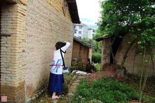 新聞特寫的種類(新聞特寫的寫作)