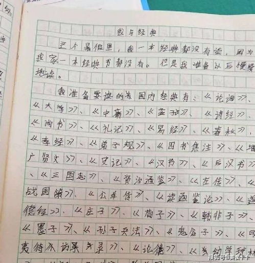 我不得不說謊作文開頭