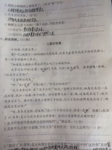 游戲中的智慧作文開(kāi)頭