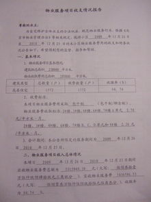 關于物業(yè)服務收支情況報告范本(資金收支管理情況自查報告)