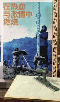 砥礪奮斗不負(fù)芳華作文,奮斗不負(fù)青春芳華作文800字,青春向陽(yáng)不負(fù)芳華作文