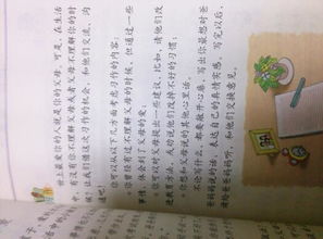 春節(jié)親情主題作文開頭