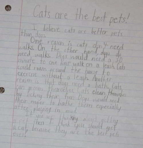 關(guān)于中國(guó)式表達(dá)的作文,表達(dá)真情實(shí)感的作文開頭,表達(dá)思念的作文開頭