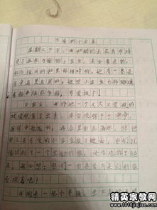 觀察金魚作文開頭