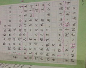 家鄉(xiāng)的特色小吃作文開頭