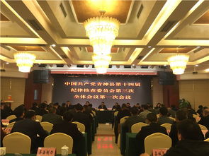 縣廉政工作會議講話(縣長廉政工作會議講話)