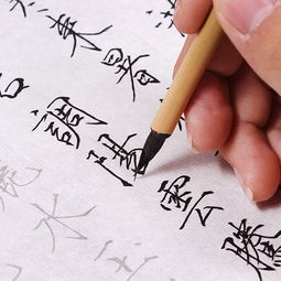 第一次練毛筆字作文400字,第一次練毛筆字作文五百字,第一次練毛筆字作文300字