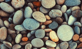 鵝卵石作文開頭排比