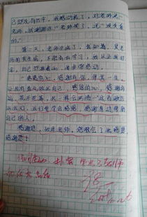 有關崇敬作文好的開頭