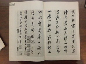 那一次我哭了作文精彩開頭