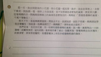 一個(gè)嘗試作文600字作文開頭怎么寫