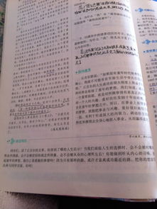 給我人生啟迪的人作文開頭