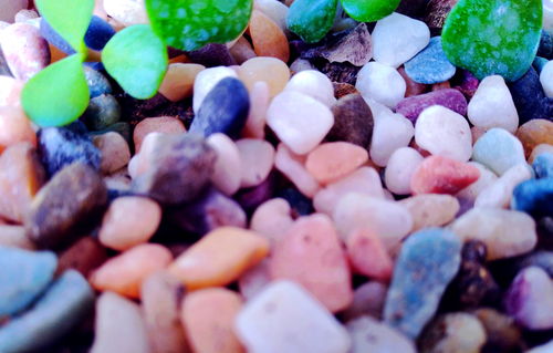 我是爸爸感動(dòng)作文開(kāi)頭結(jié)尾