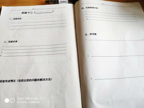 大學(xué)大學(xué)計(jì)算機(jī)實(shí)驗(yàn)報(bào)告(大學(xué)計(jì)算機(jī)實(shí)驗(yàn)報(bào)告范例)