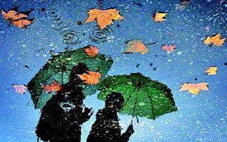 秋雨的作文的開頭