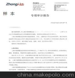 專項審計報告范文(公司清產(chǎn)核資專項審計報告)