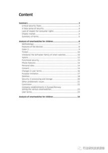 手表市場調查報告范文(手表 手表作文700字)