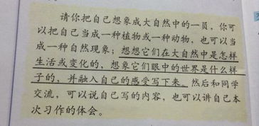 開(kāi)頭的作文神奇的小草