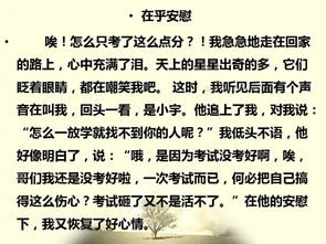 在乎被忽略的一面作文開(kāi)頭