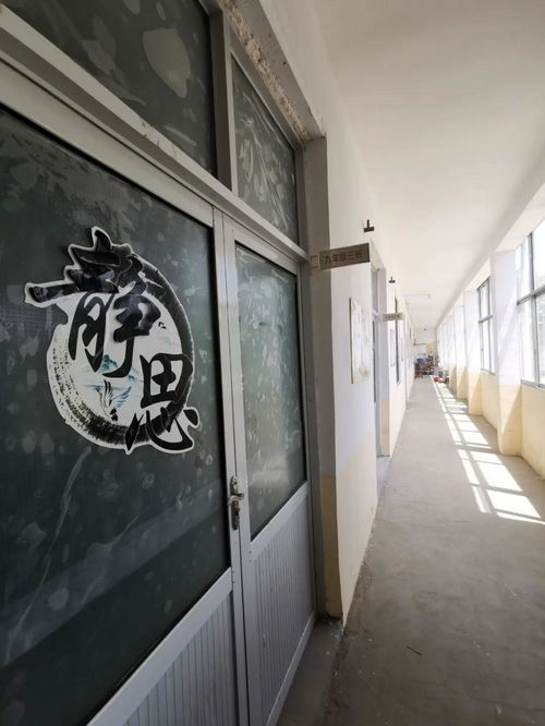 以特寫鏡頭的作文開頭